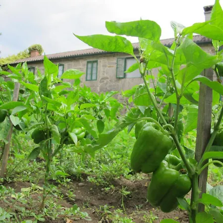 Resort Casa Do Cribeiro Ponteareas