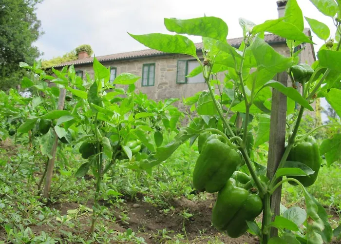 Resort Casa Do Cribeiro Ponteareas