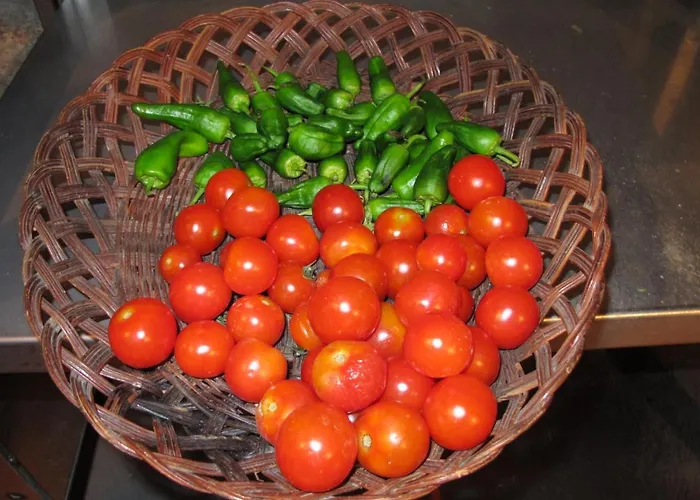 Ośrodek wypoczynkowy Casa Do Cribeiro Ponteareas